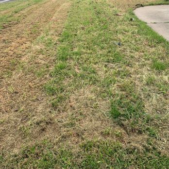 Lawn Care Up - Lawn Services Near Me - Sacramento, California Lawn Care Up - Lawn Services Near Me - Sacramento, California