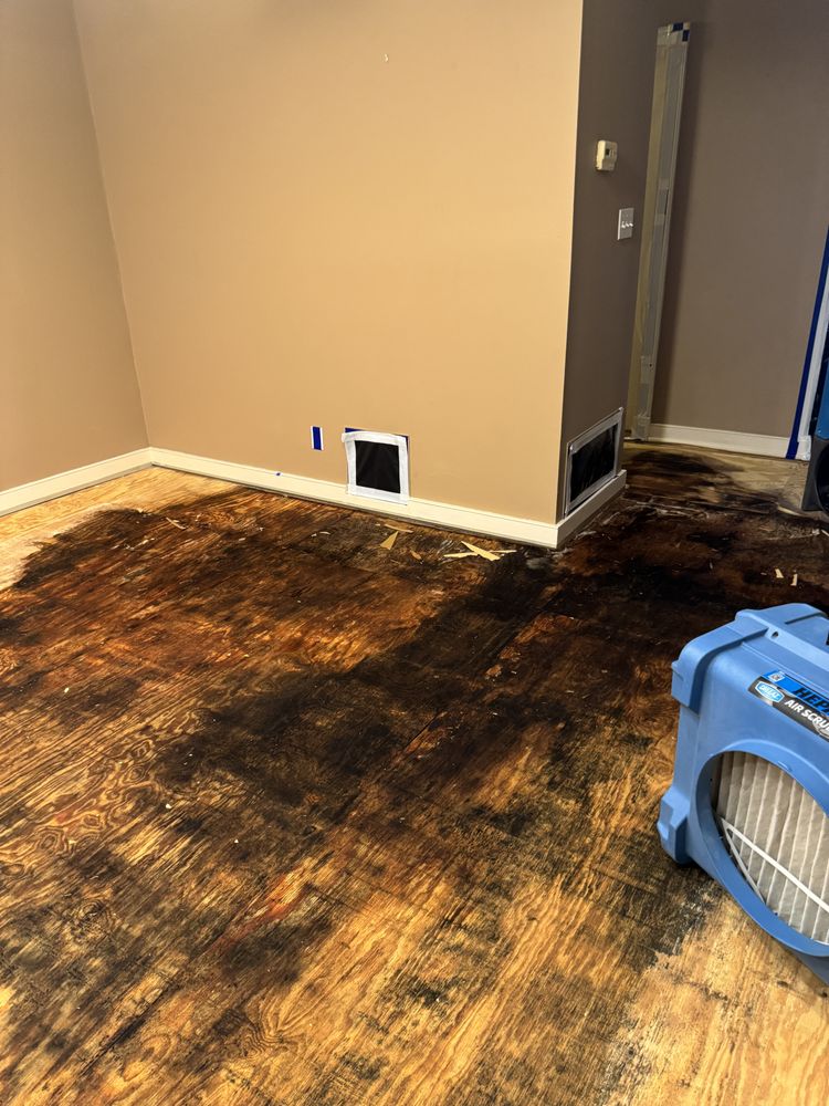 Tau Restoration - mold inspector in Altamonte Springs, FL