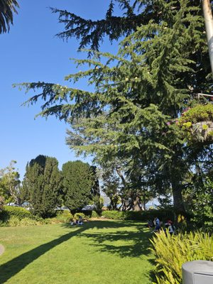 Viña del Mar Park by null