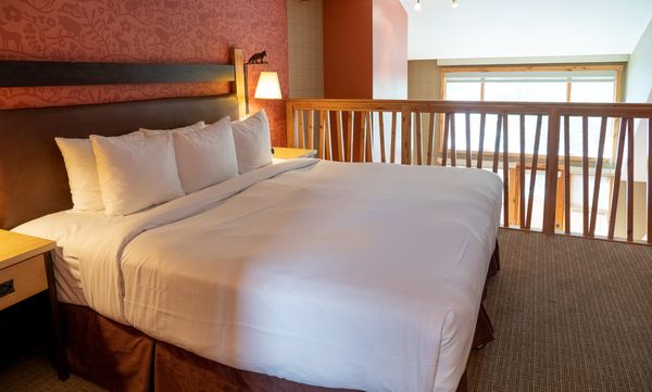 Fox Hotel & Suites by null
