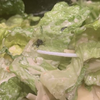 Sauce Pizza & Wine - Dead fly in salad - Pizza Near Me - Gilbert, Arizona Sauce Pizza & Wine - Dead fly in salad - Pizza Near Me - Gilbert, Arizona