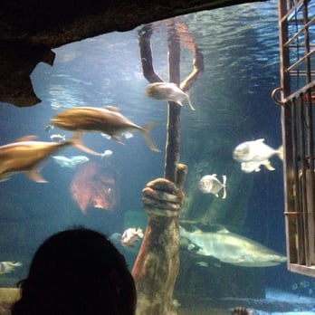 Long Island Aquarium - Aquariums Near Me - Riverhead, New York Long Island Aquarium - Aquariums Near Me - Riverhead, New York