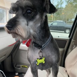 Axel Foley doesn't look like he wants to go home. Axel Foley doesn't look like he wants to go home.