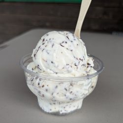 Toasted Coconut, Hard Serve Ice Cream, Baby Size, $4.50