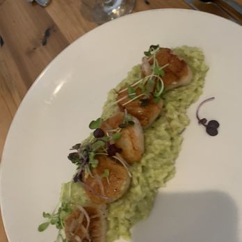 Whalers - Scallops - Bars Near Me - Bay Shore, New York