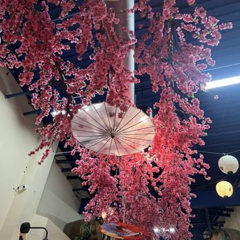 Osuki - Japanese Near Me - Melbourne, Florida Osuki - Japanese Near Me - Melbourne, Florida