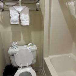 Thunderbird Lodge - Clean toilet