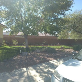 Danny's Home & Garden Services - Yes the yard is ridiculously overgrown like an abandoned house...lol - Landscaping Near Me Danny's Home & Garden Services - Yes the yard is ridiculously overgrown like an abandoned house...lol - Landscaping Near Me