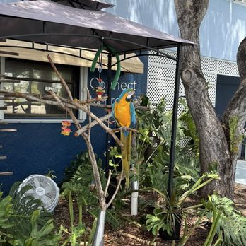 Dolphins Plus Marine Mammal Responder - Aquariums Near Me - Key Largo, Florida Dolphins Plus Marine Mammal Responder - Aquariums Near Me - Key Largo, Florida