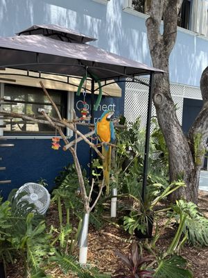 Dolphin Life Key Largo by null