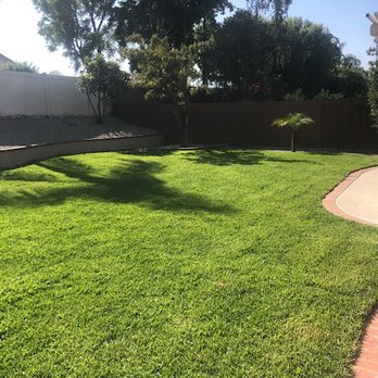 Green Leaf Landscaping - After - Tree Services Near Me Green Leaf Landscaping - After - Tree Services Near Me