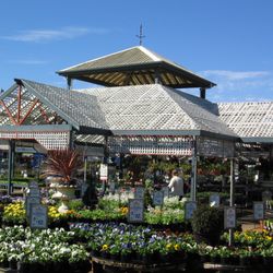 Flower Power Garden Centre Taren Point - Huge selection of plants