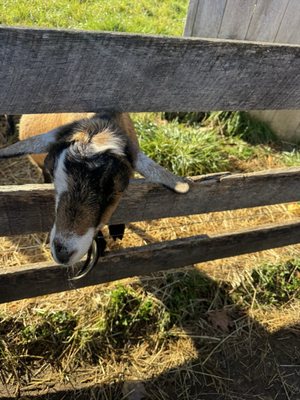 DuBois Farms by null