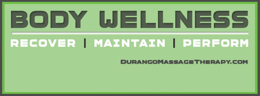 Body Wellness Logo