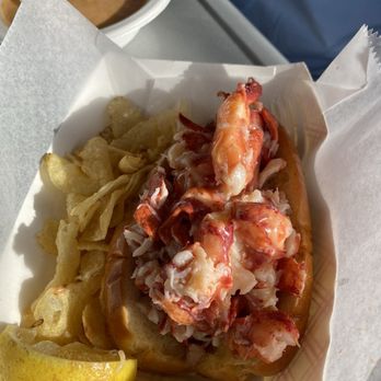 Bite Into Maine - Food Trucks Near Me - Portland, Maine Bite Into Maine - Food Trucks Near Me - Portland, Maine
