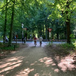 Haagse Bos