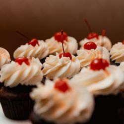 The Cupcake Couture