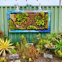 Mersea Restaurant & Bar - Whimsical drought tolerant gardens
