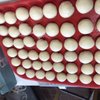 Kingdom Of Dumplings gift card