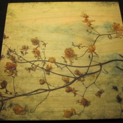Druckwerkstatt Van Osten - Beautiful picture prints on maplewood