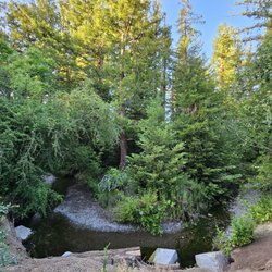 Redwood Grove Nature Preserve
