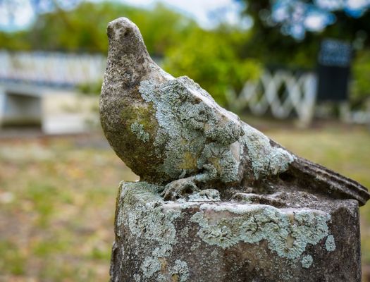 Magnolia Cemetery Trust by null