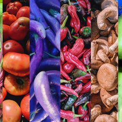 Hephzibah Organic Farm