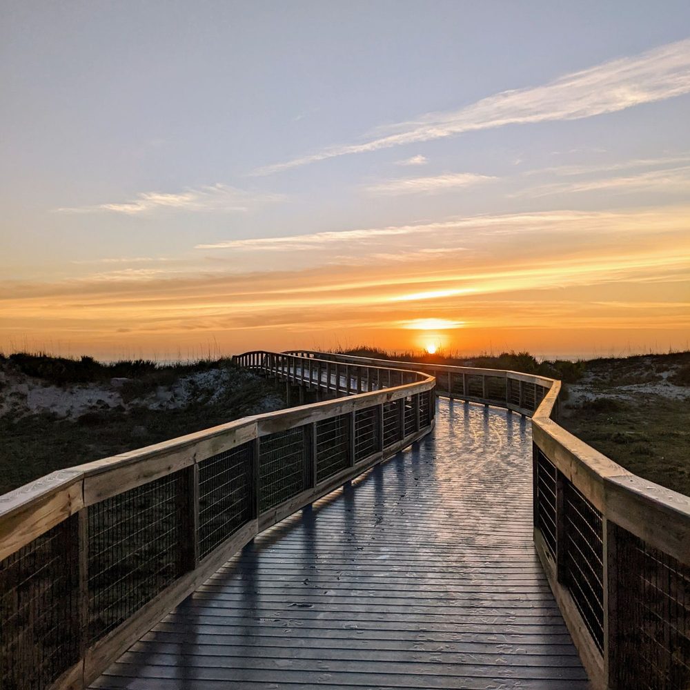 TOP 10 BEST Dog Parks near New Smyrna Beach, FL 32168 - Updated 2026 - Yelp, image size:1000x1000