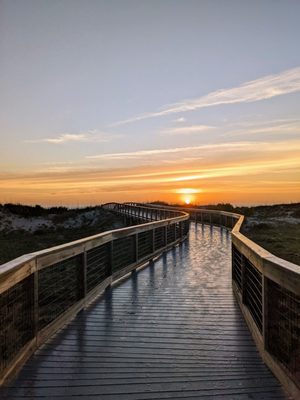 Smyrna Dunes Park by null