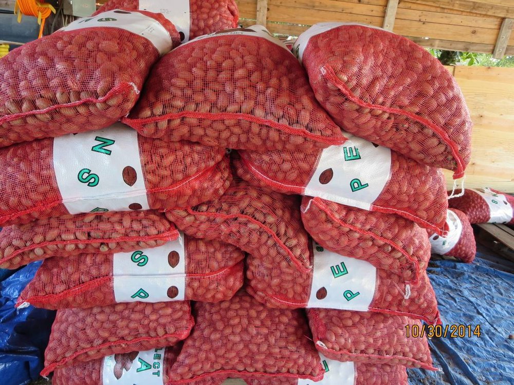 BOYKIN FARMS 2432 Co Rd 402, Falfurrias, Texas Wholesale Stores