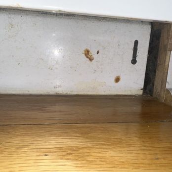Kings Cleaning - Kitchen that was not cleaned - Home Cleaning Near Me