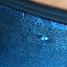 All Phase Pool Remodeling - The very poor quality of hand troweling. I have TONS of pics. - Pool & Hot Tub Service Near Me - Sanford, Florida