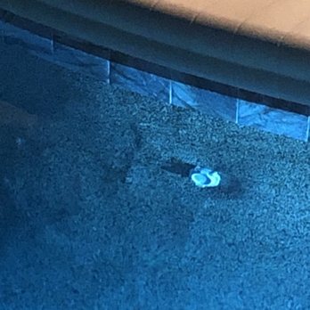 All Phase Pool Remodeling - The very poor quality of hand troweling. I have TONS of pics. - Pool & Hot Tub Service Near Me - Sanford, Florida All Phase Pool Remodeling - The very poor quality of hand troweling. I have TONS of pics. - Pool & Hot Tub Service Near Me - Sanford, Florida