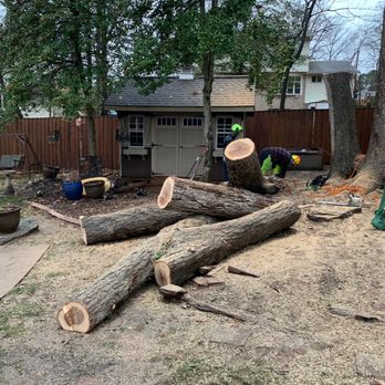 JL Tree Service - Tree Services Near Me - Fairfax, Virginia