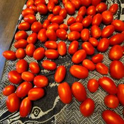 Darling’s Farms & Greenhouses - Roma
