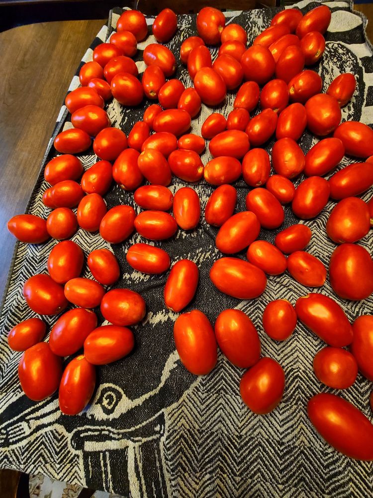 DARLING’S FARMS & GREENHOUSES Updated October 2024 38 Hildebrandt