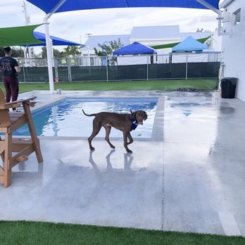 Somi Pet Resort - Pet Boarding Near Me - Miami, Florida Somi Pet Resort - Pet Boarding Near Me - Miami, Florida