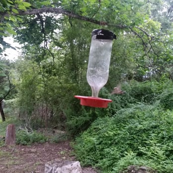 Frio River Cabins - Hummingbird feeders everywhere. - Hotels Near Me - Leakey, Texas Frio River Cabins - Hummingbird feeders everywhere. - Hotels Near Me - Leakey, Texas