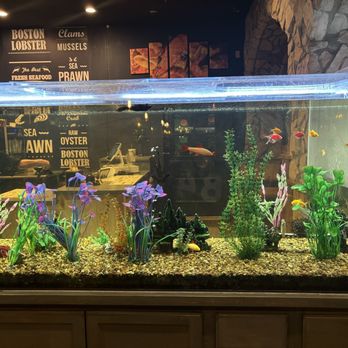 Storming Crab - Aquarium - Seafood Near Me - Henderson, Nevada