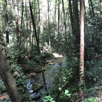 Dukes Creek Falls Trail - Hiking Near Me - Cleveland, Georgia Dukes Creek Falls Trail - Hiking Near Me - Cleveland, Georgia