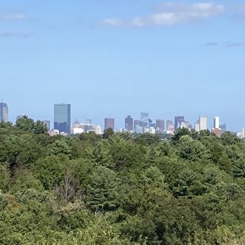 Arnold Arboretum - Parks Near Me - Boston, Massachusetts