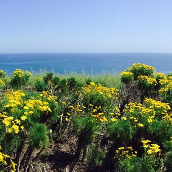 Point Dume State Beach - Beaches Near Me - Malibu, California