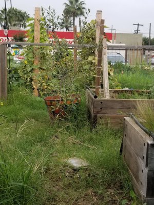 MAKE Projects by null