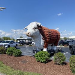 The Leachman Cow