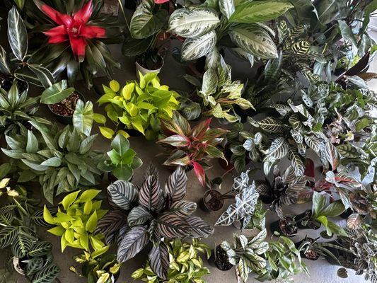 Public Land Store by null