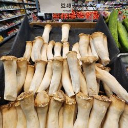 Enson Market - GIANT MUSHROOMS ?