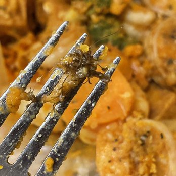 Angry Crab Shack - Cajun/Creole Near Me - Phoenix, Arizona Angry Crab Shack - Cajun/Creole Near Me - Phoenix, Arizona
