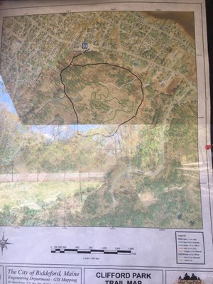 Clifford Park by null