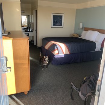 Seabird Lodge - Room--simple but spacious and clean - Hotels Near Me - Fort Bragg, California