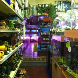 GayLyfe Pets & Aquatics - Aquatic Department